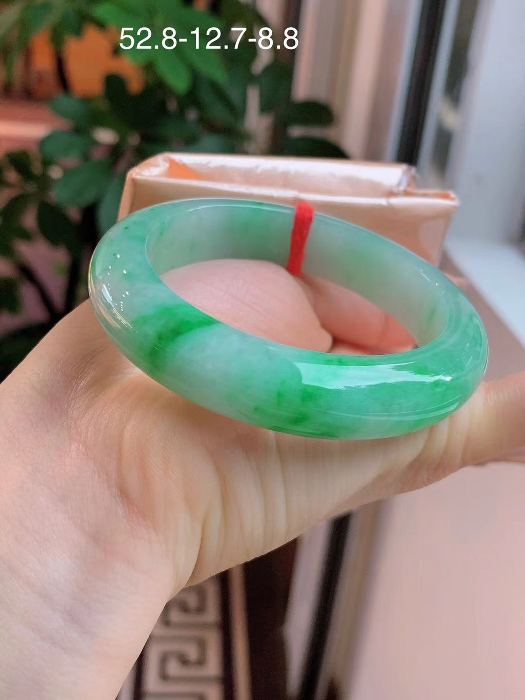 翡翠飄陽綠52.8正圈手鐲